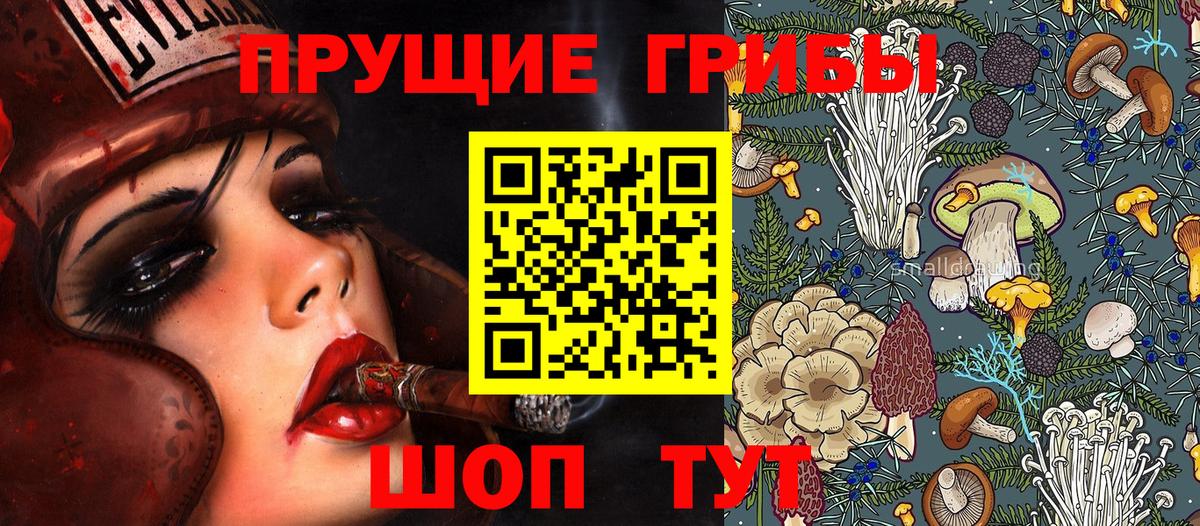 Псилоцибиновые грибы Psilocybine cubensis  Псилоцибиновые грибы Cubensis  Выборг  Вход с VPN 