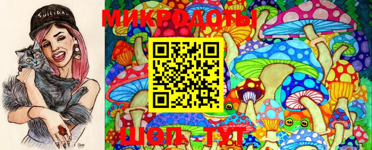 Псилоцибиновые грибы мухоморы Выборг