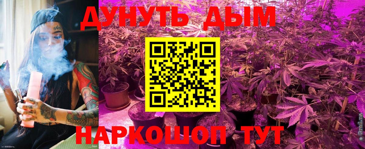 Бошки марихуана MAZAR  Конопля семена  Выборг  Бошки марихуана сатива  Вход с VPN 